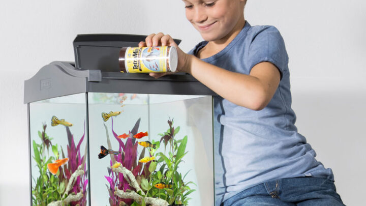 Выбор аквариума для детской комнаты